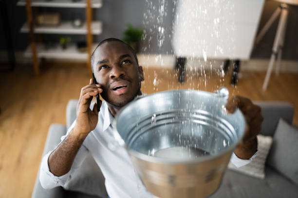  , NV Water damage restoration Pros