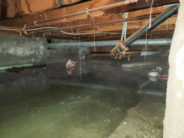  , NV Water damage restoration Pros