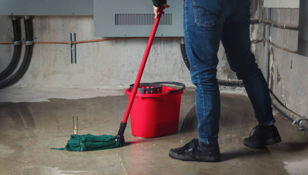 Best Water damage cleanup near me  in , NV