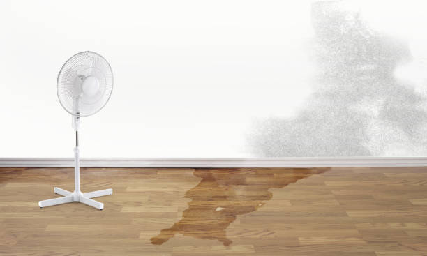 Best Water damage restoration near me  in , NV