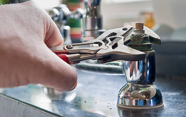Best Flood restoration services  in , NV