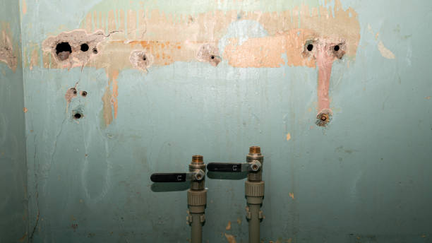 Best Ceiling water damage repair  in , NV