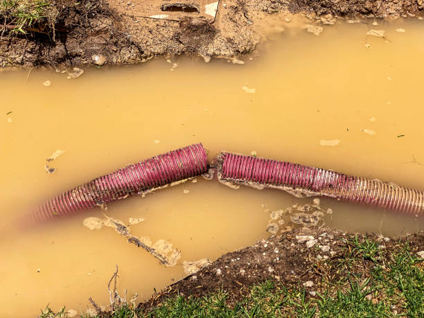 Best Carpet water damage restoration  in , NV
