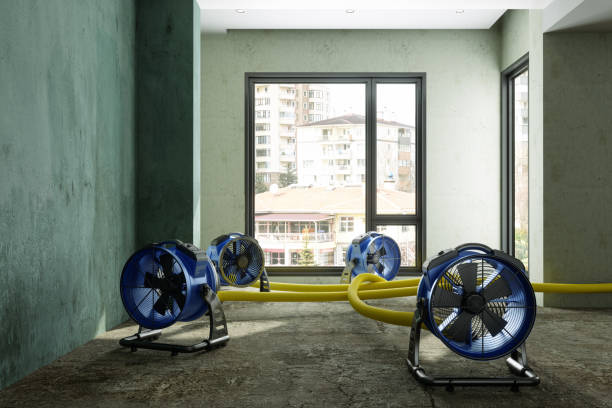 Best Sewage cleanup and water damage restoration  in , NV